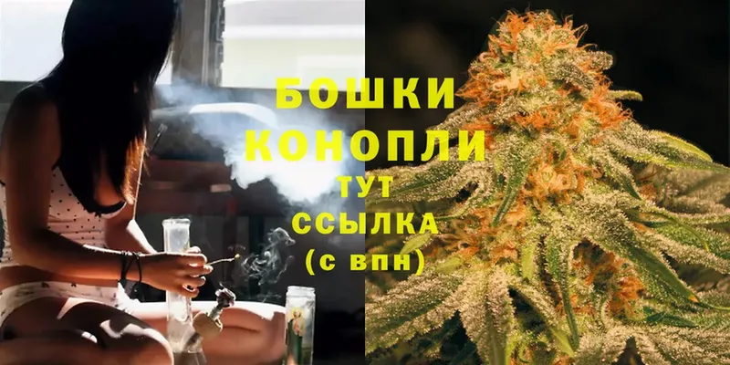 Конопля Ganja  Губкин 